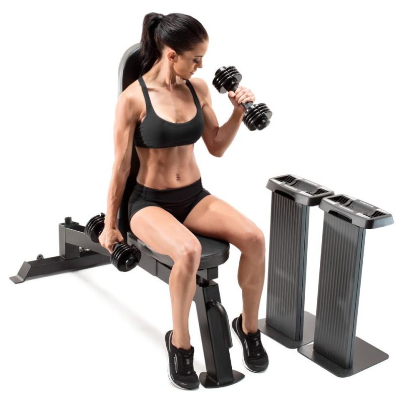 Fitness Accessories |  NordicTrack Workout Bench – NTBE17917 Black Fitness Black