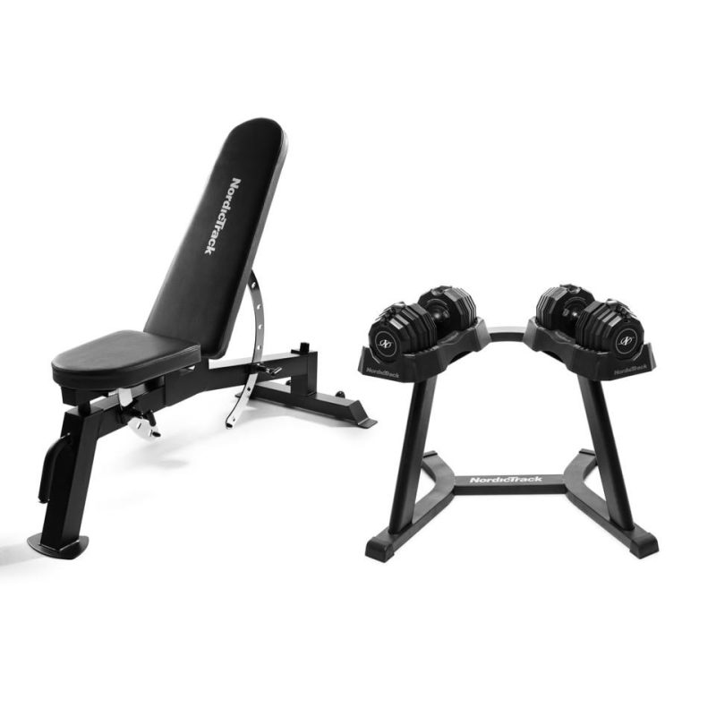 Fitness Accessories |  NordicTrack Workout Bench – NTBE17917 Black Fitness Black