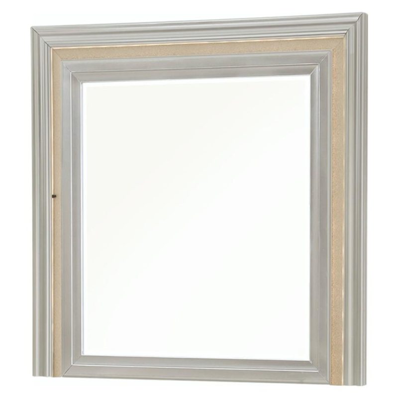 Mirrors |  Gia Collection Platinum Mirror Gray Bedroom Furniture Gray