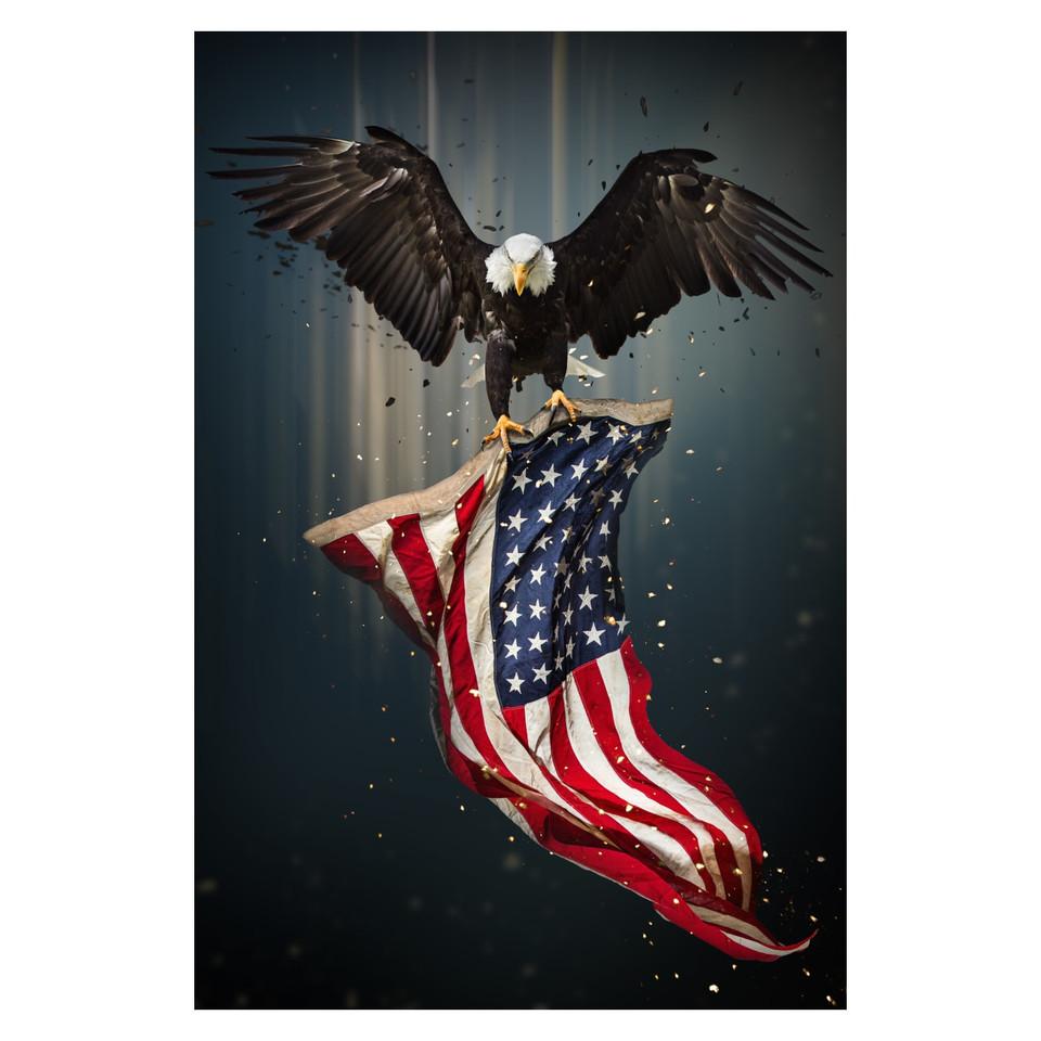 Wall Art & Mirrors |  EAGLE FLAG GLASS ART Gray Home Décor Gray